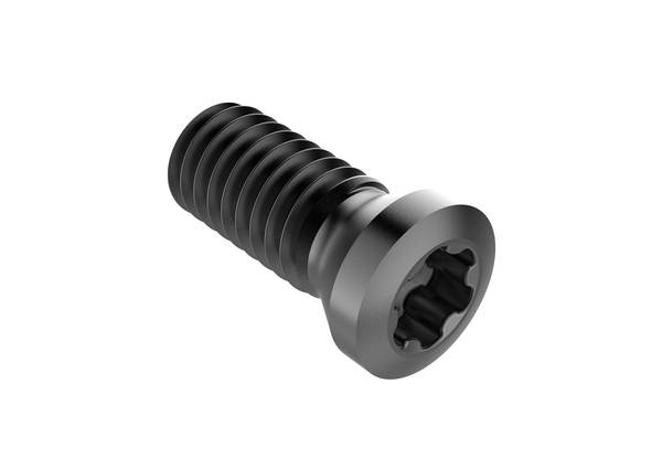 C02005-t06p insert screw - 40352
