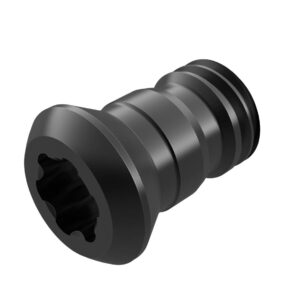 Cc5009-t20p insert screw - 2458962