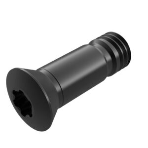 Cc8025-t30p insert screw - 2458966