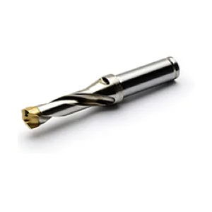 Replaceable Tip Drill Bodies